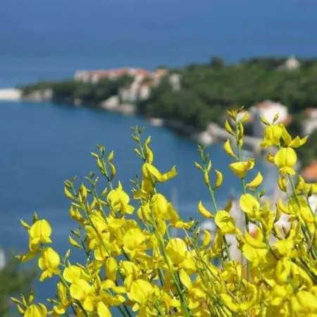 Seaview Sparkle Iskra - Povlja, Brac